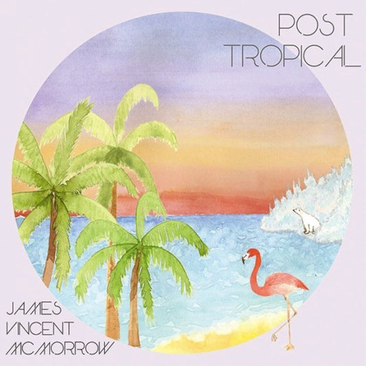 James Vincent Mcmorrow - Post Tropical Vinyl Record